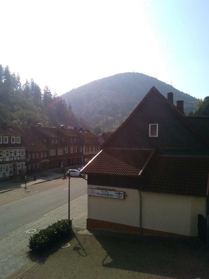 Hotel Bergschlosschen Zorge Buitenkant foto