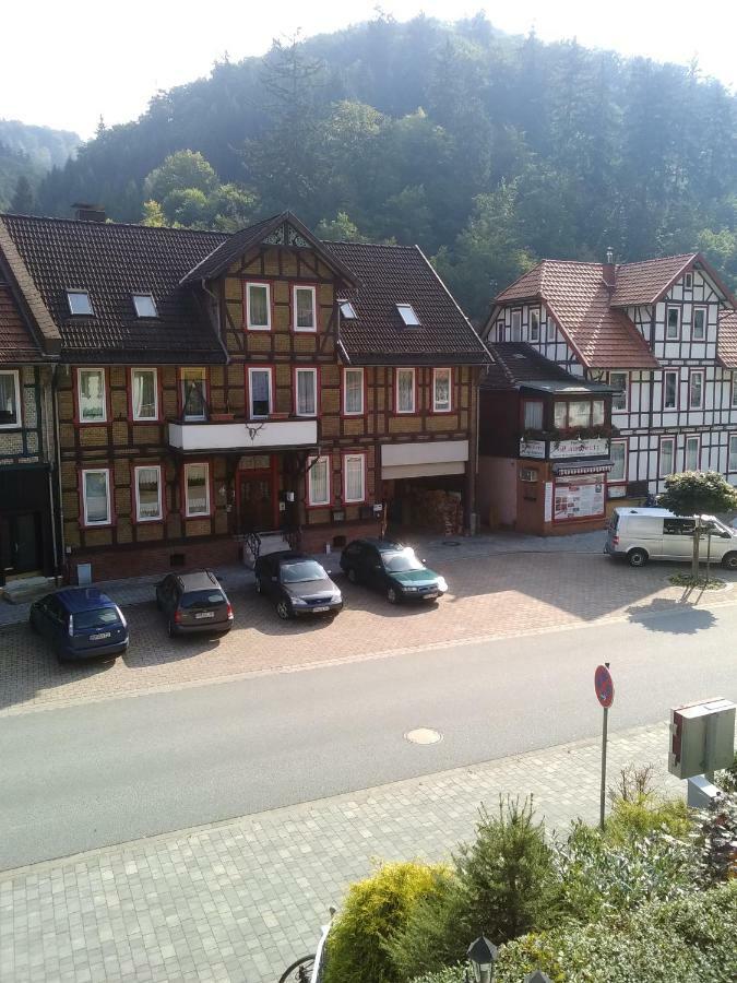Hotel Bergschlosschen Zorge Buitenkant foto