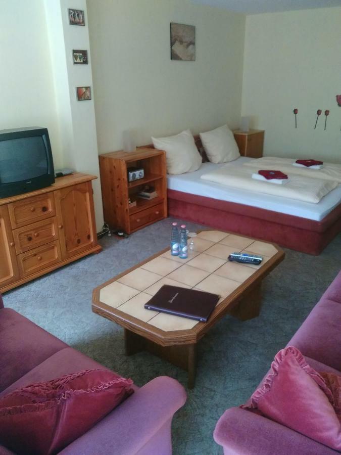 Hotel Bergschlosschen Zorge Buitenkant foto
