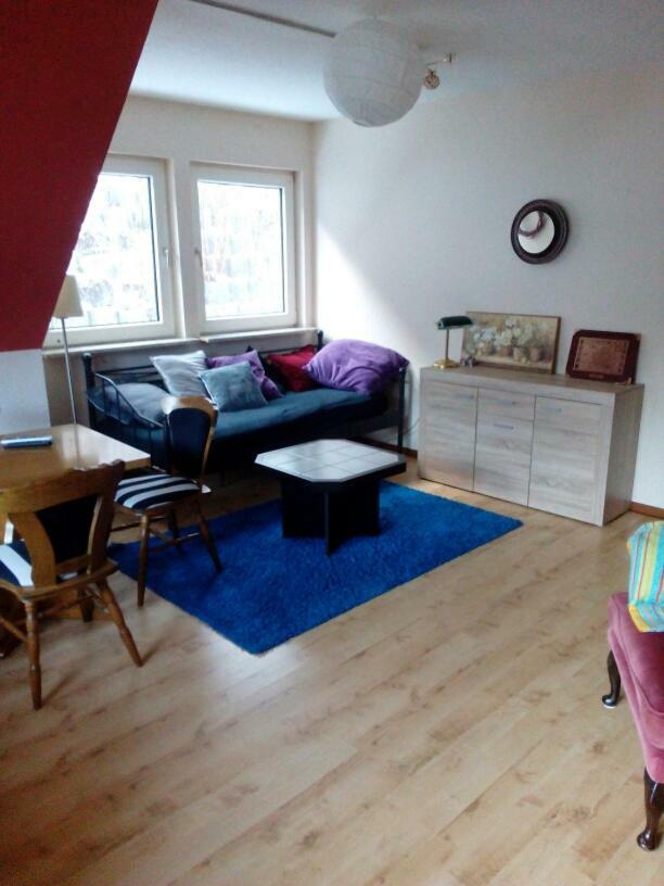 Hotel Bergschlosschen Zorge Buitenkant foto